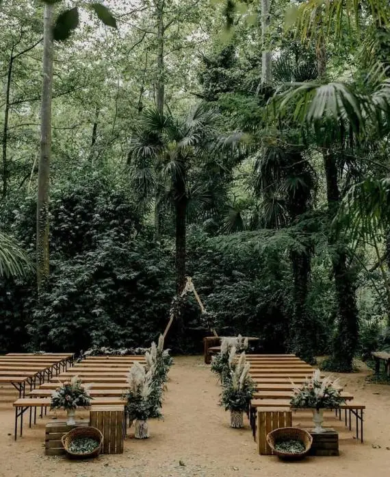 Bancos de madera alineados para una ceremonia al aire libre rodeada de árboles y vegetación frondosa.