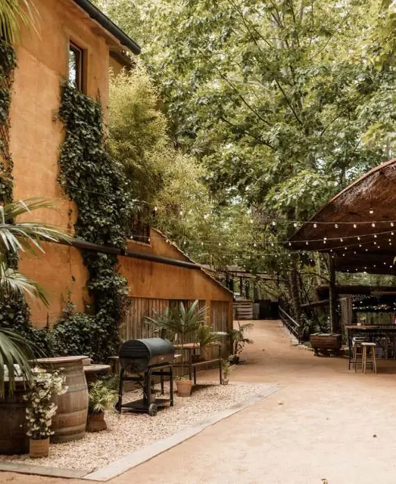 Camino de tierra junto a un edificio rústico cubierto de plantas enredaderas en la finca.