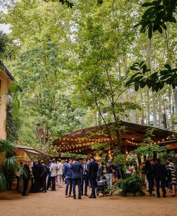 Grupo de invitados reunidos en un cóctel al aire libre bajo una estructura de madera decorada con luces entre los árboles.