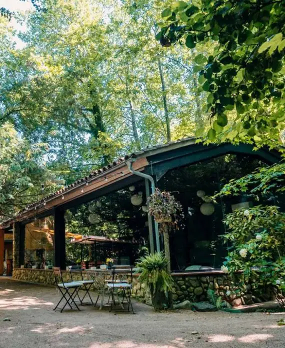 Estructura acristalada y terraza ideal para banquetes de bodas en la naturaleza rodeada de árboles.