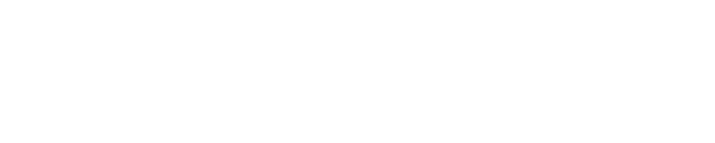 laVinyassa